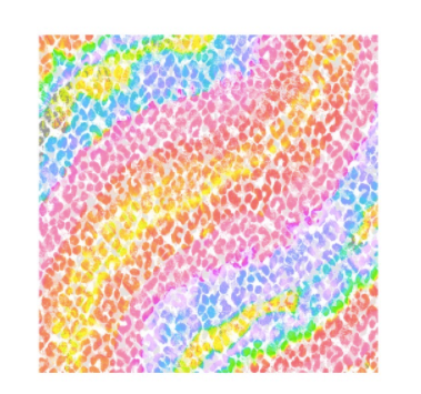 Rainbow Leopard