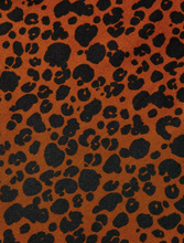 Load image into Gallery viewer, Leopard Print Top